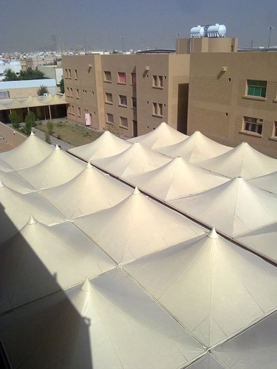 صورة واتساب بتاريخ 1446-07-04 في 19.05.19_b1b8126c